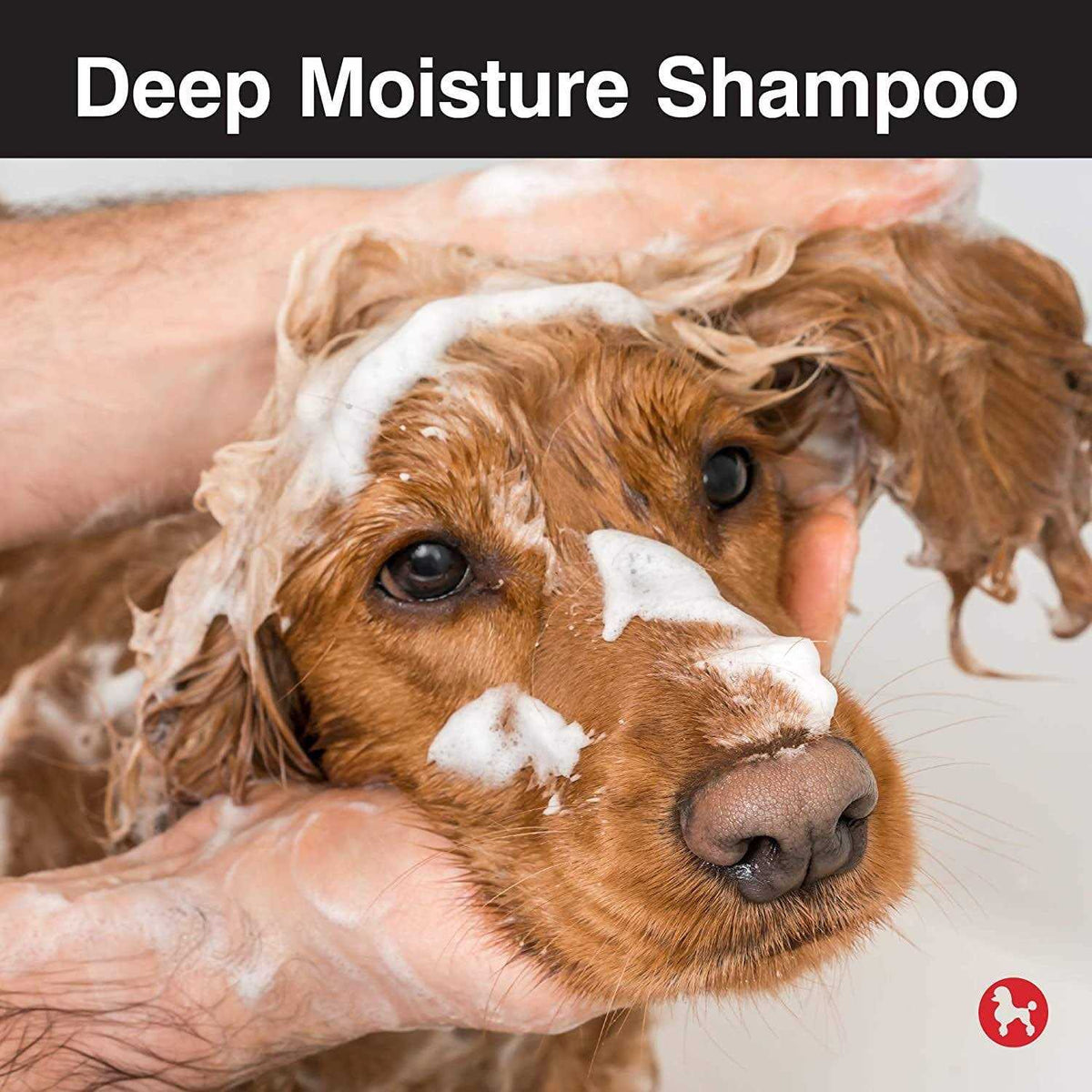 Dog Deep Moisture Shampoo Z943357