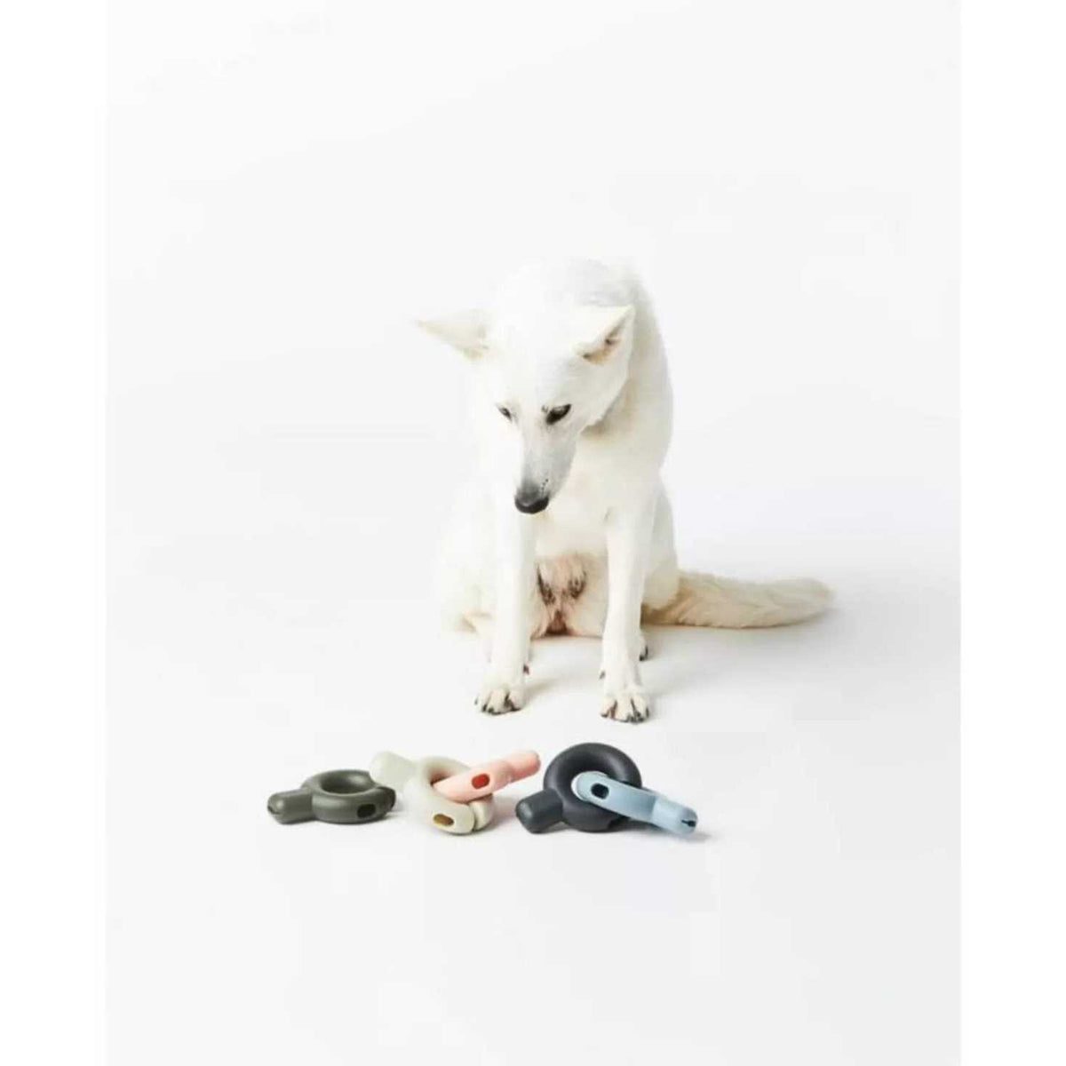 Dog Toy I87907