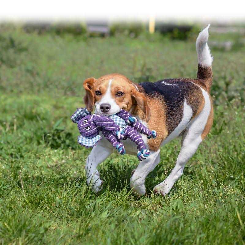 Elephant Dog Toy P2912