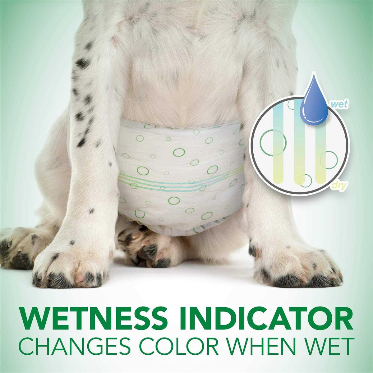 Disposable Male Dog Wraps O930