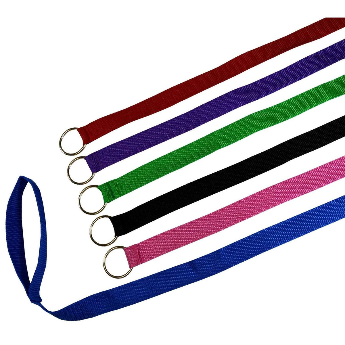 Dog Slip Lead Dog Leash G520