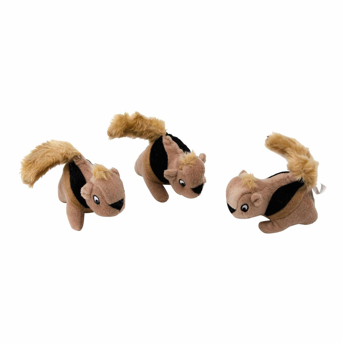 Squirrel S44926