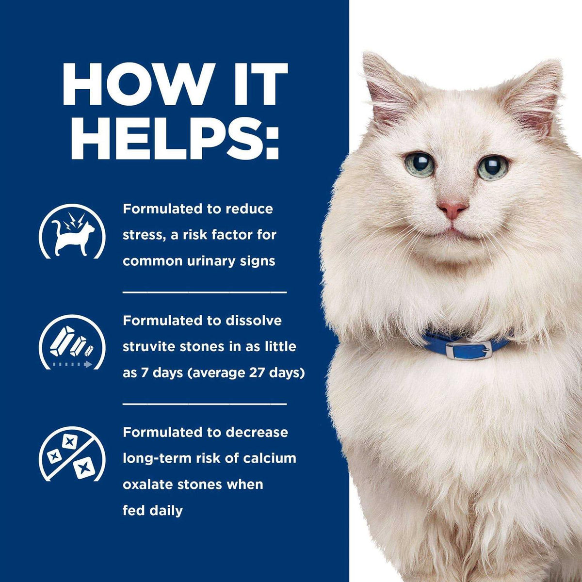 Chicken Dry Cat Food Y8170