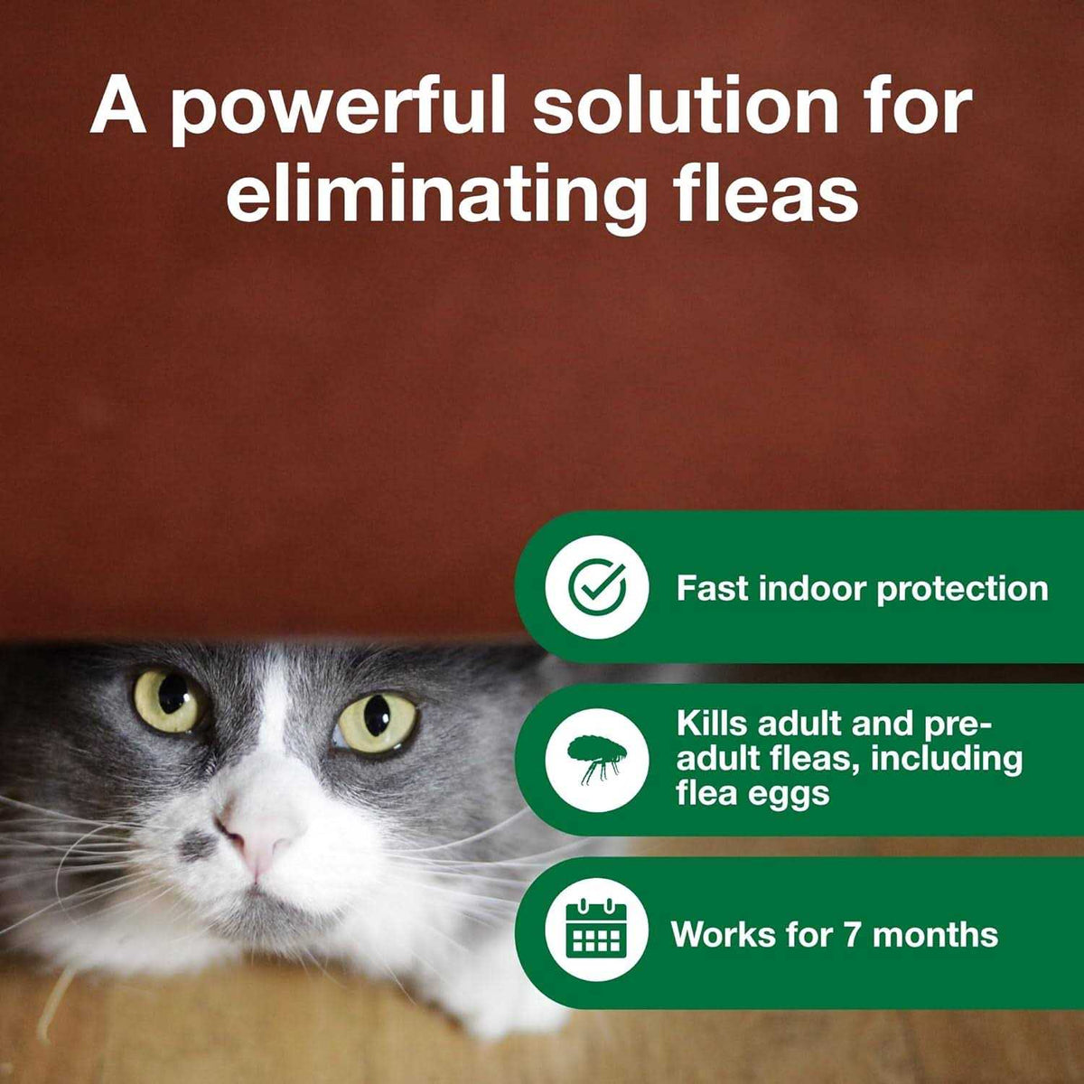 Flea Treatment Spray for Cats M9589