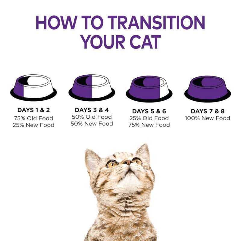 Cat Food W7015