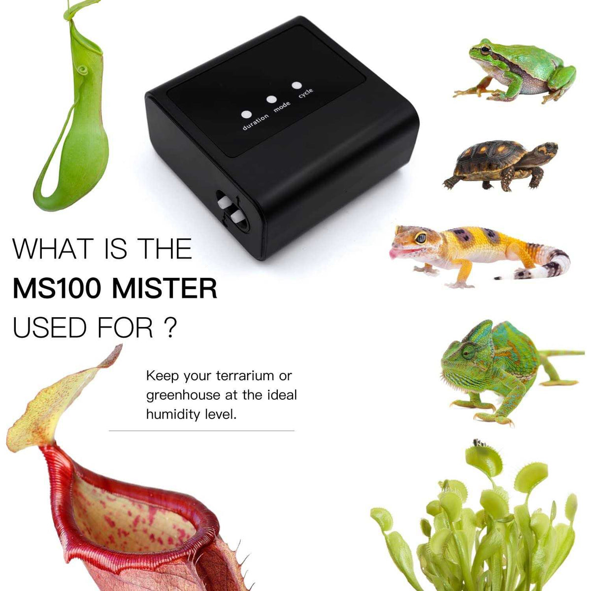 Reptile Mister Humidifier J52292