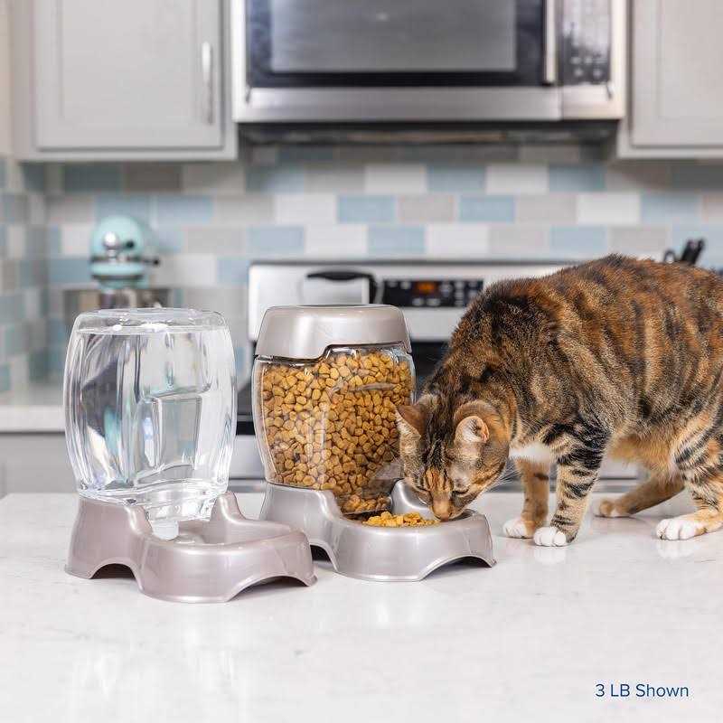 Pet Feeder C173373