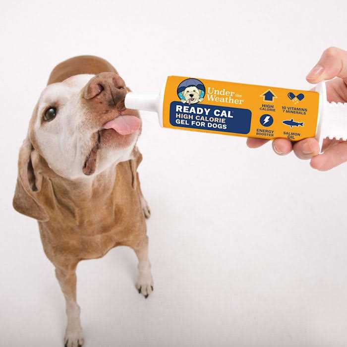 High-Calorie Supplement for Dogs V1455