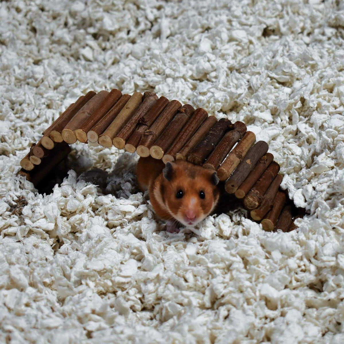 White Small Pet Bedding Q55650