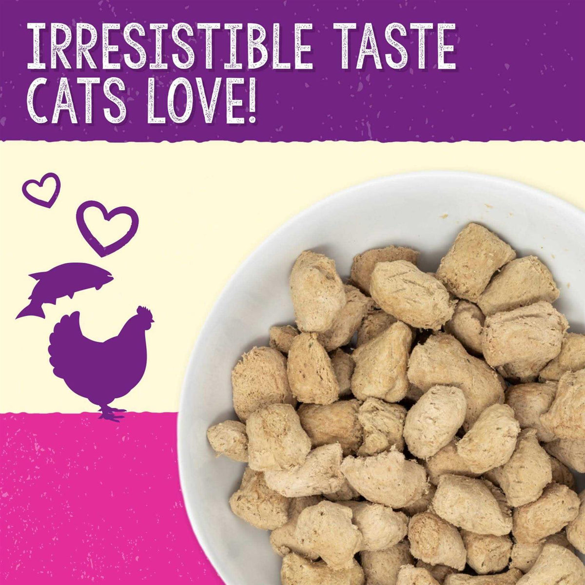 Salmon Chicken Freeze-Dried Cat Food M804
