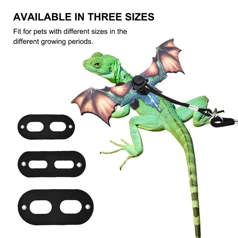 Adjustable Portable Reptile Leash with Wings U7148
