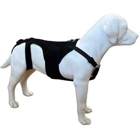 Dog Back Brace I57788