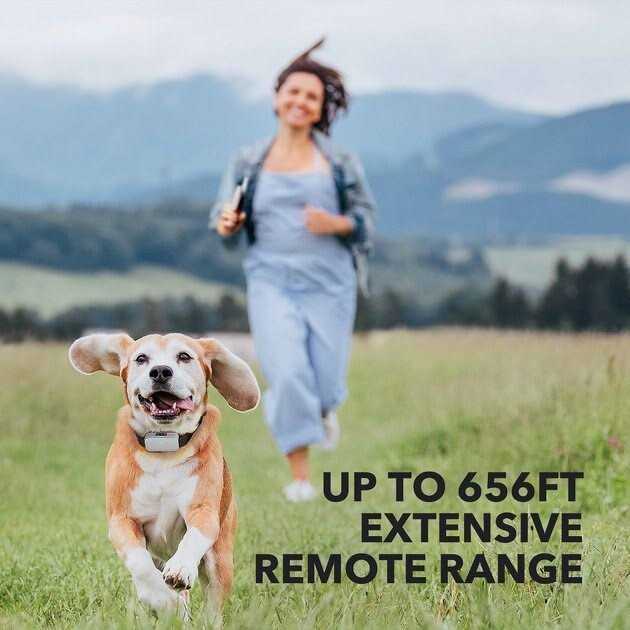 Dog Training System X7662