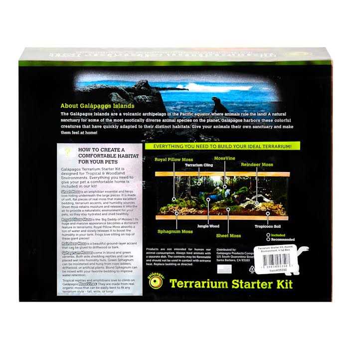 Terrarium Starter Kit Q257907