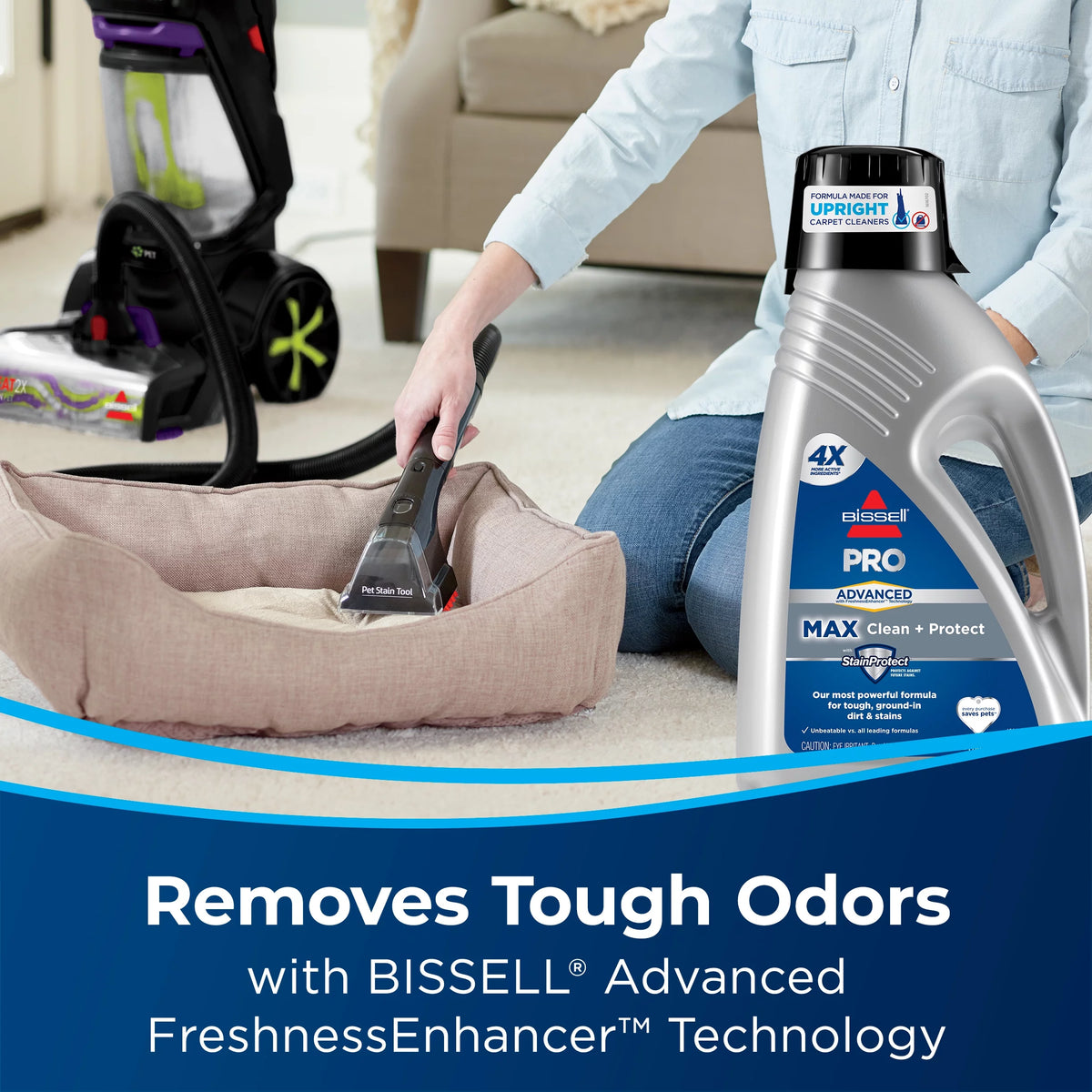 Carpet Cleaning Formula P969329