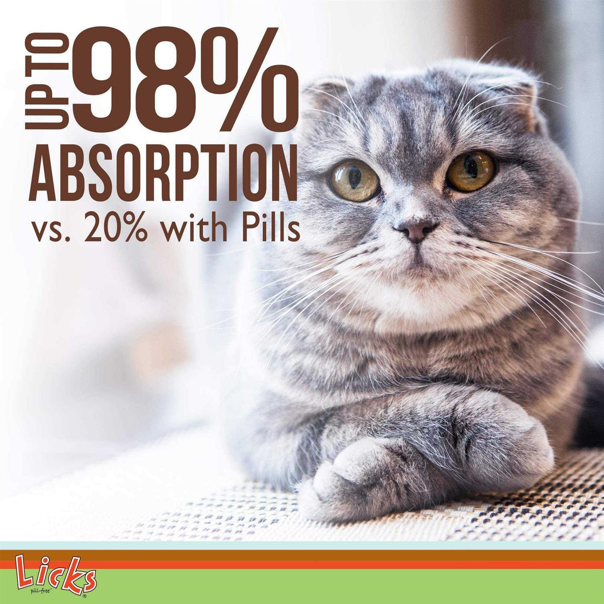 Senior Cat Joint Support & Digestion Supplement K9704