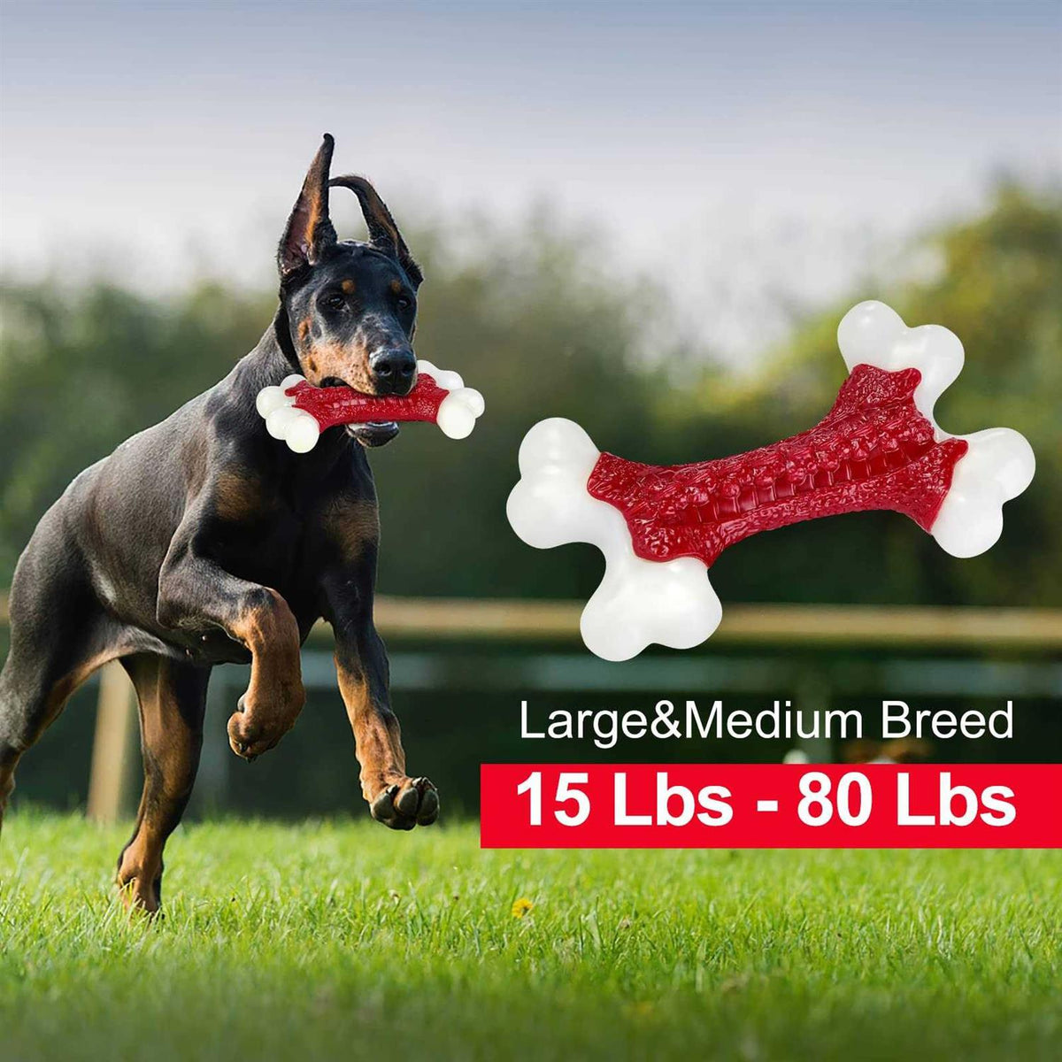 Tough Dog Toys for Aggressive Chewers Large Breed W98790