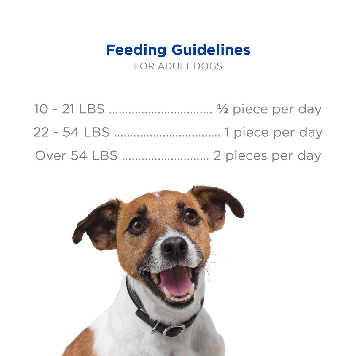 Dog Dental Chews G61605