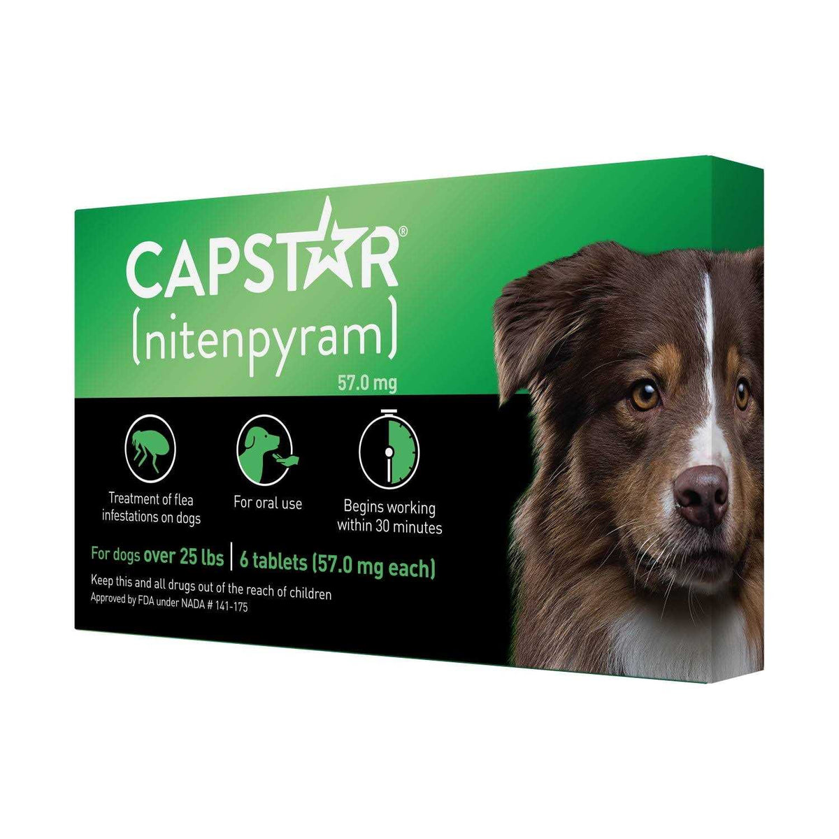 Flea Tablets for Dogs B1331