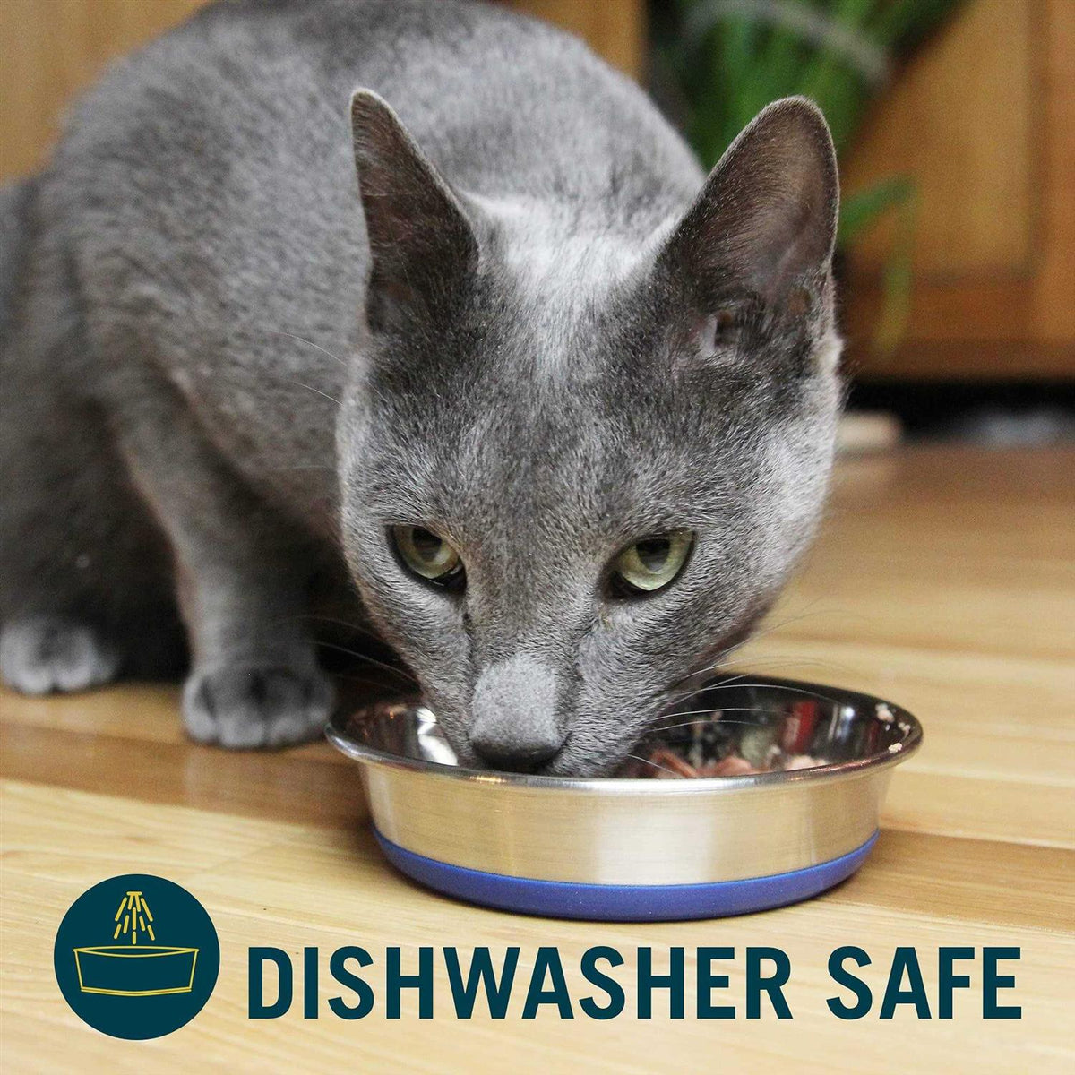 Stainless Steel Cat Dish R63282