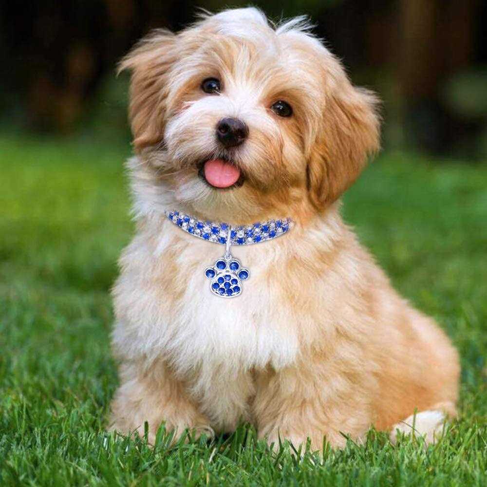 Adjustable Diamond Cat and Dog Collar H8396