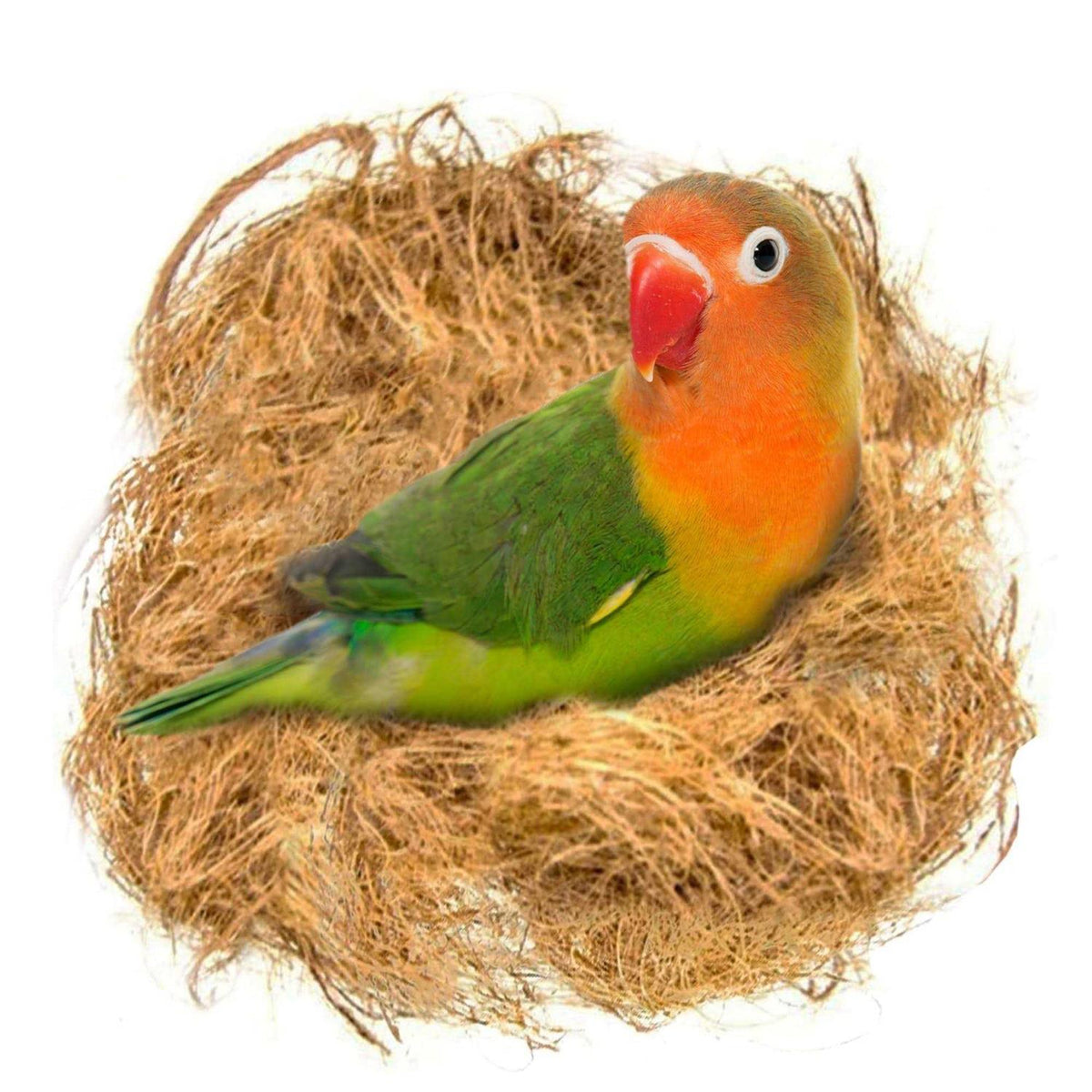 Coconut Fiber Loose Bedding Substrate K611813