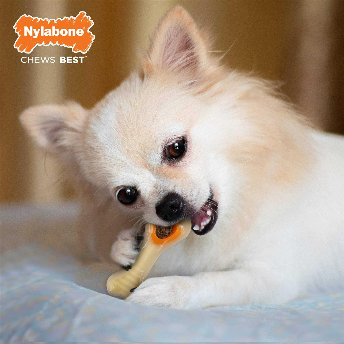 Chicken Chew Toy O27119