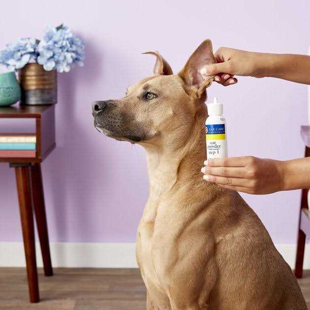 Ear Powder G814
