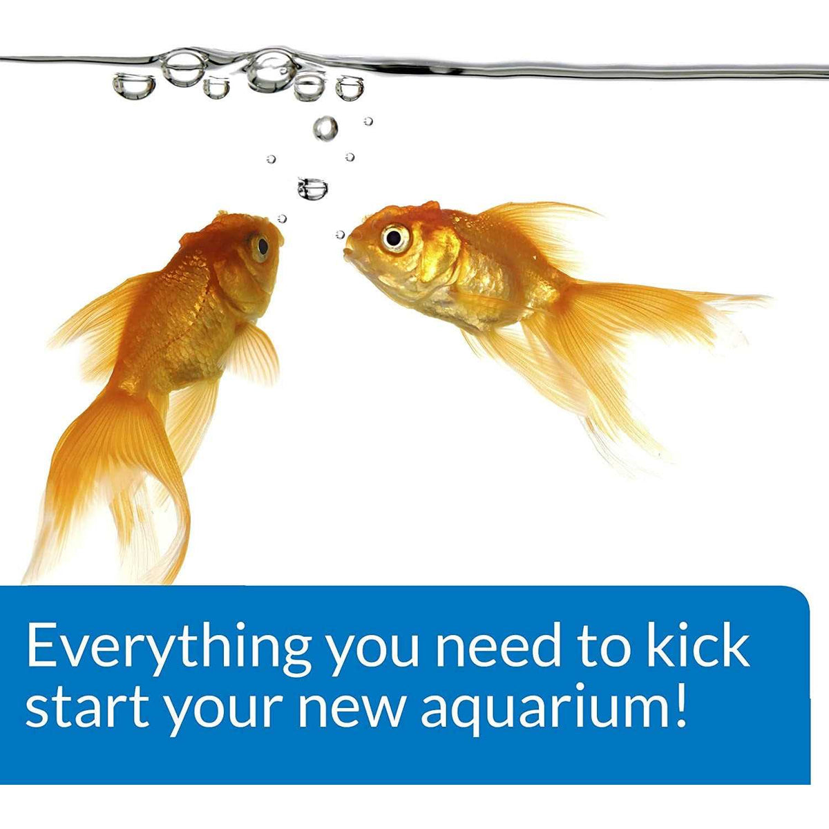 Aquarium Start Up Pack Z729