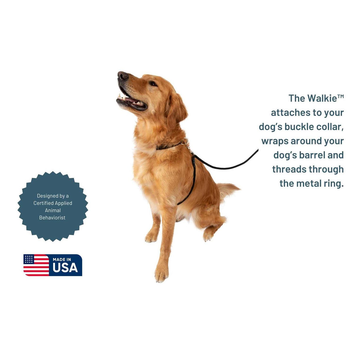 No Pull Dog Leash I372016