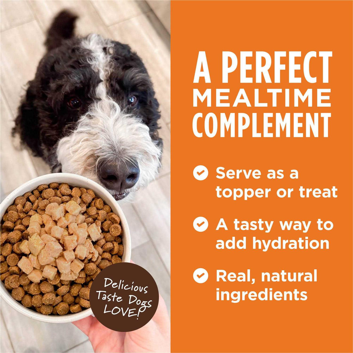 Grain Free Wet Dog Food Topper R996