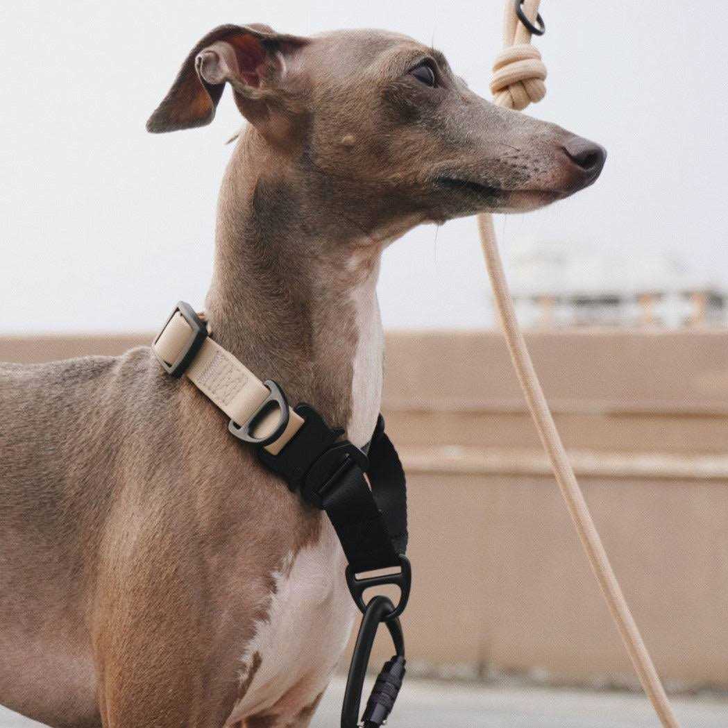 Waterproof Martingale Collar R7854