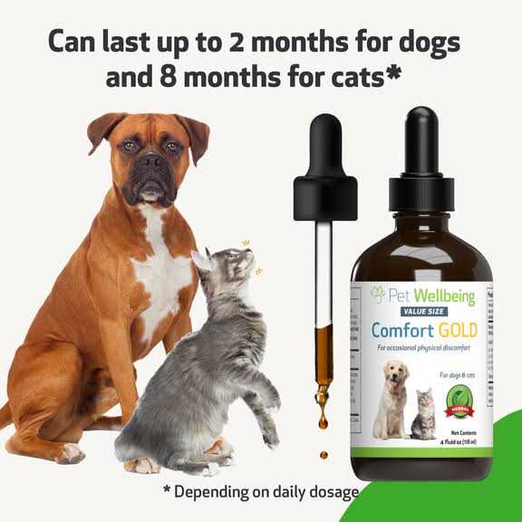 Comfort Gold for Cats G9322