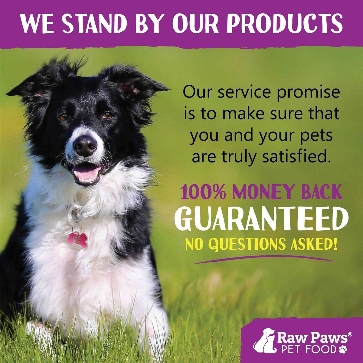 Organic Coconut Oil for Dogs & Cats H189