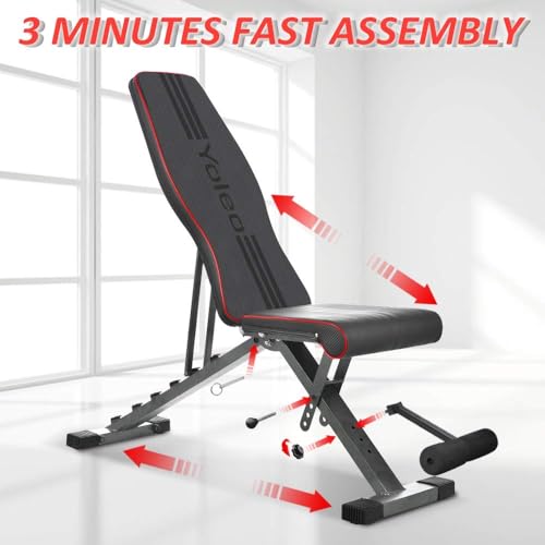 Adjustable Foldable Weight Bench 330 lbs Capacity A778080
