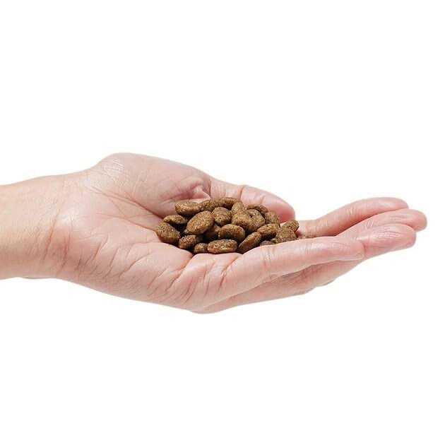 Grain-Free Dog Food N434194