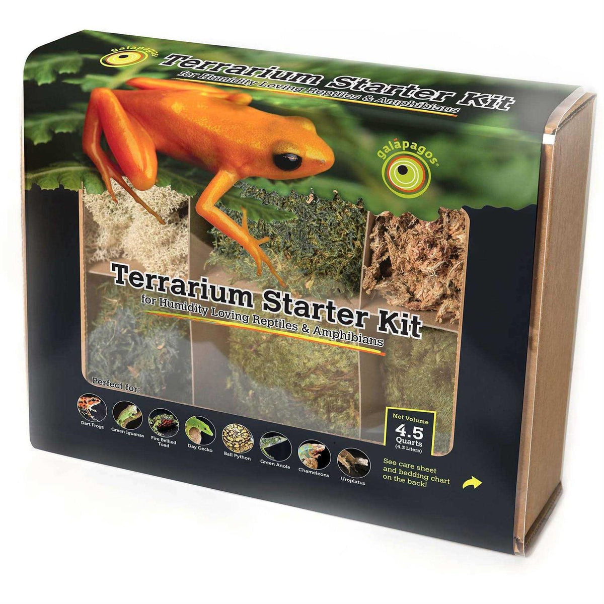 Terrarium Starter Kit Q257907
