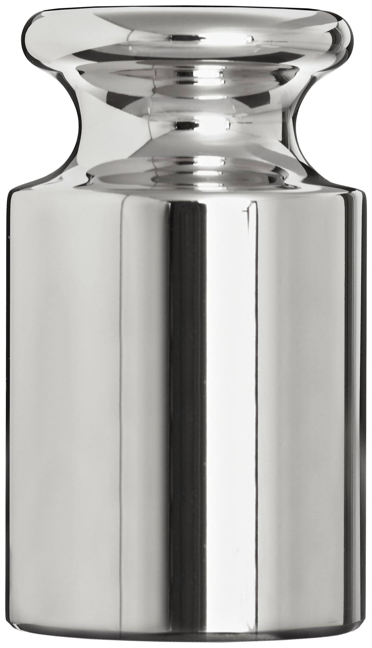 100g Stainless Steel ASTM Class 2 Calibration Weight R844