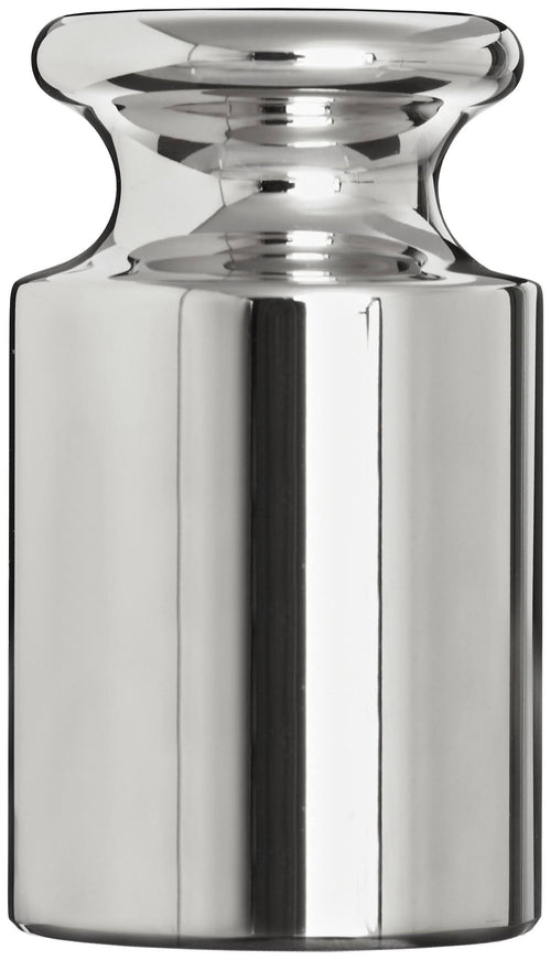 100g Stainless Steel ASTM Class 2 Calibration Weight R844
