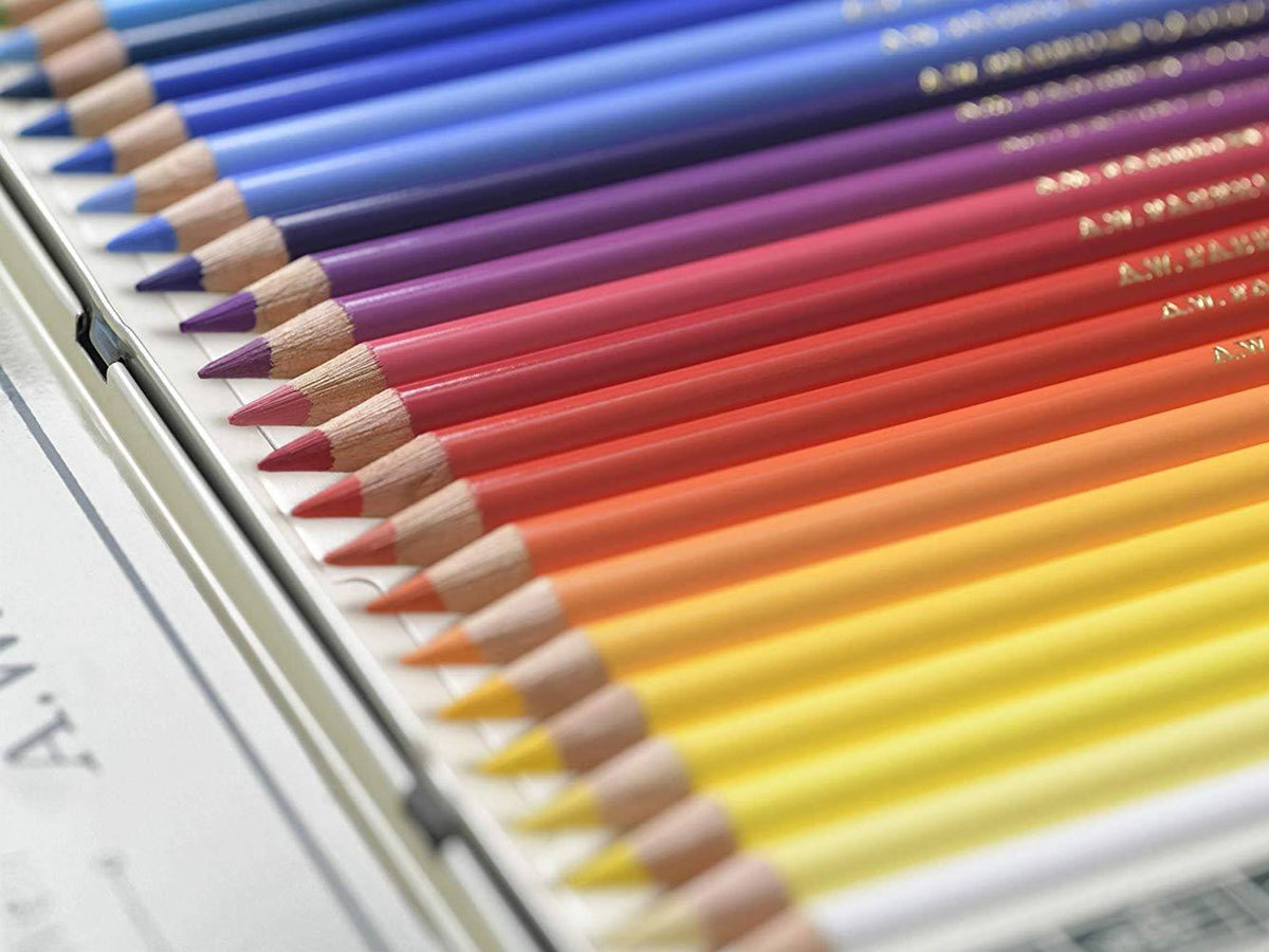 Polychromos Pencil Set of 12 R5308