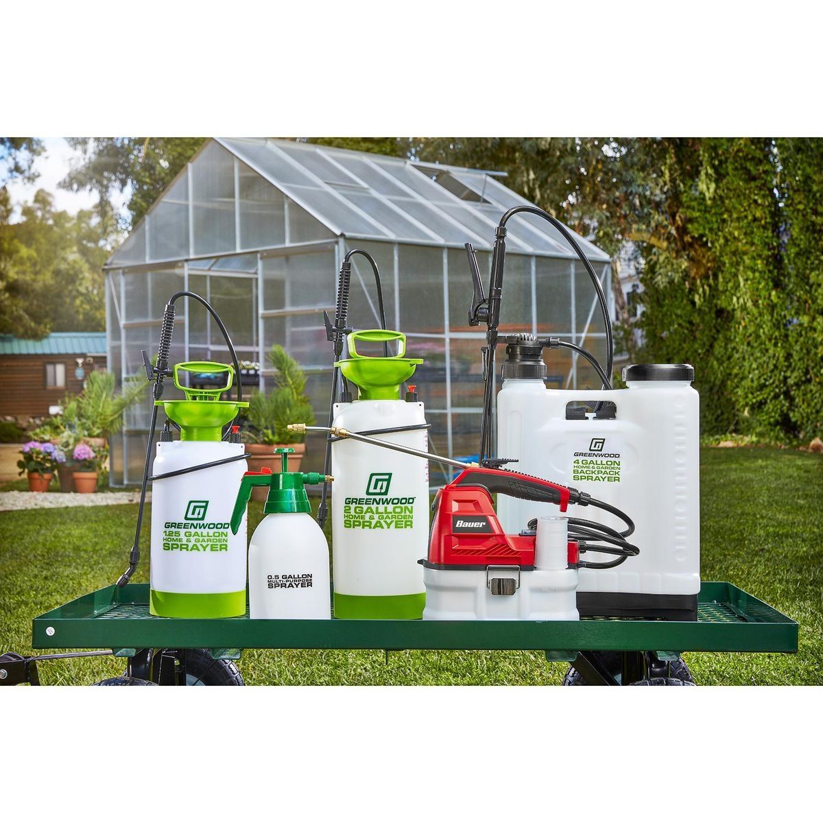 0.5 Gallon Multipurpose Sprayer P31748