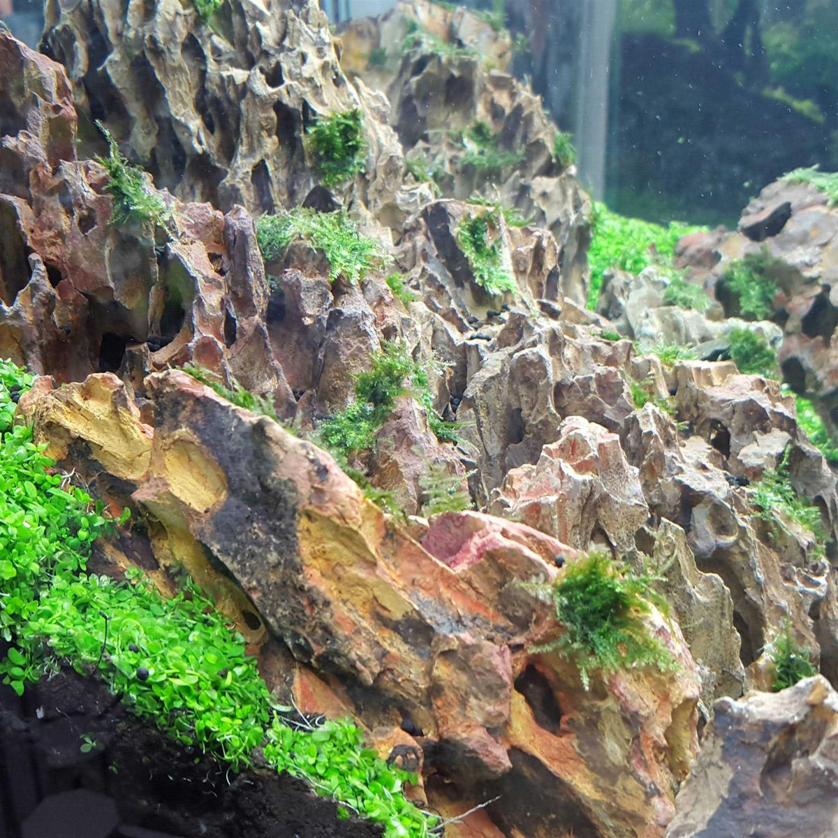 25 Gallon Kit E205106