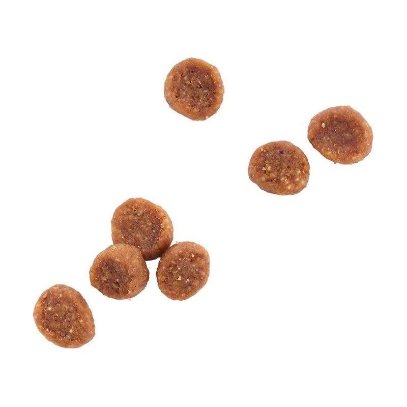 Grain Free Chicken Recipe Dry Kitten Food R816