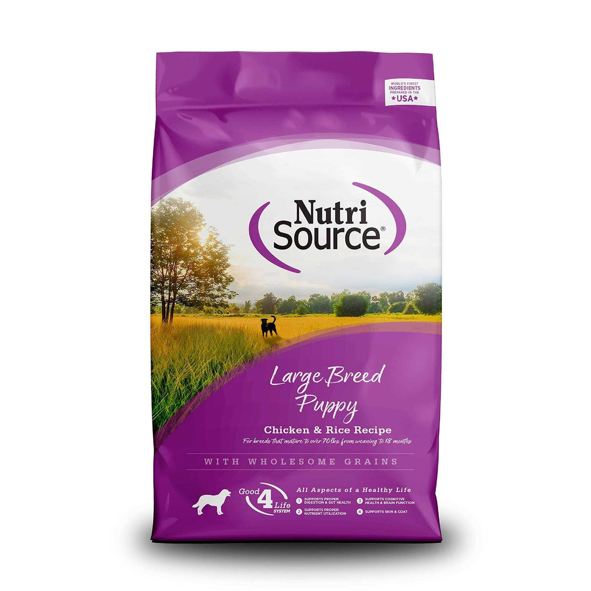 Chicken Rice Large-Breed Puppy Dry Dog Food H7694