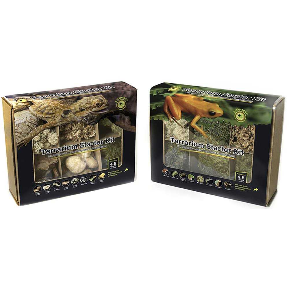 Terrarium Starter Kit Q257907