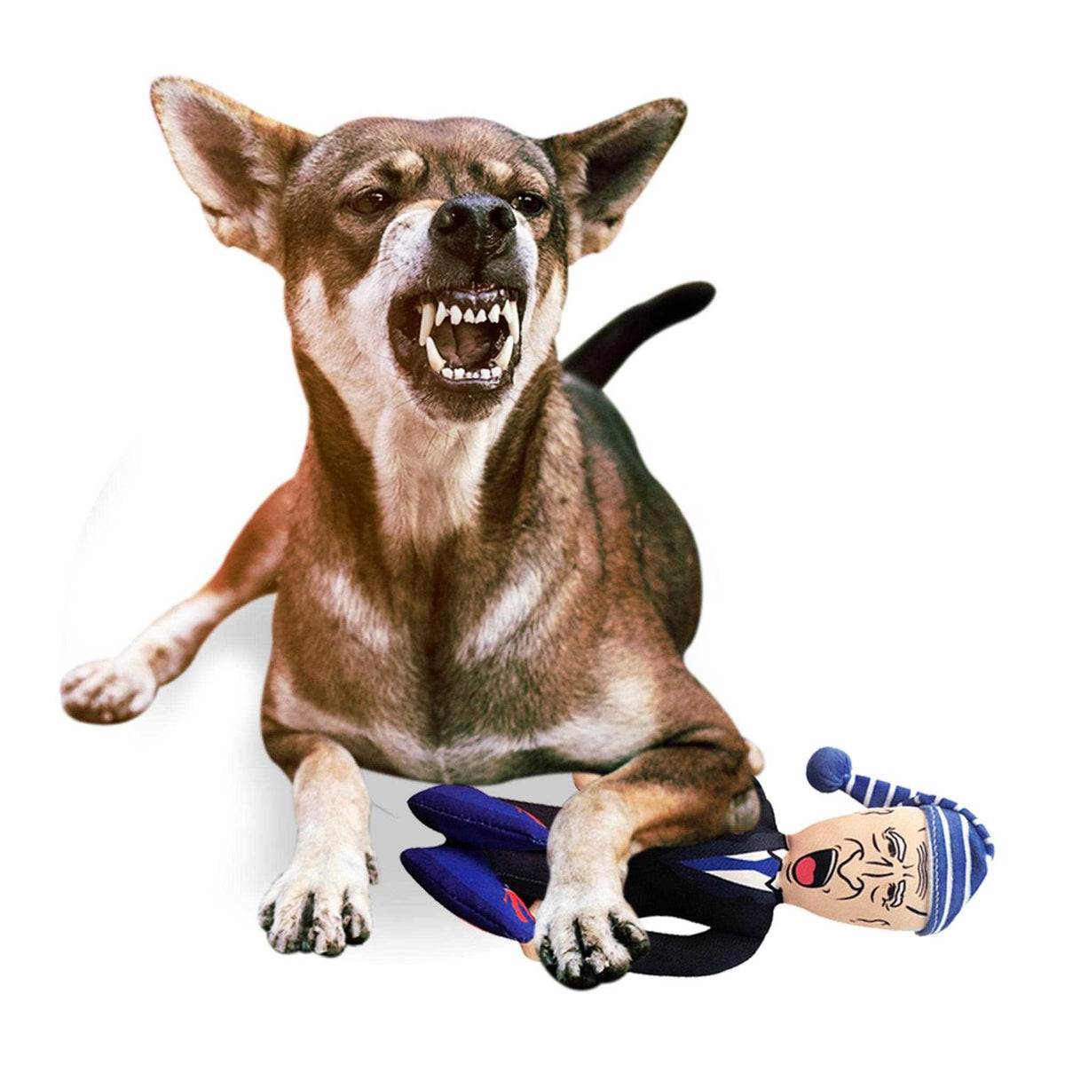 Plush Dog Chew Toy with Squeaker N346