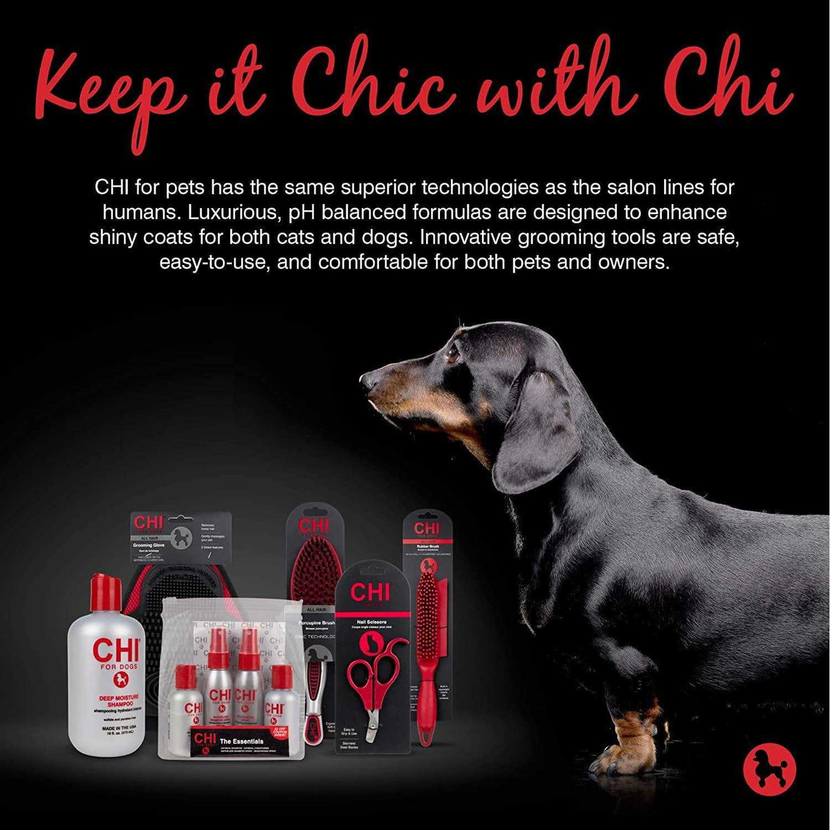 Dog Deep Moisture Shampoo Z943357