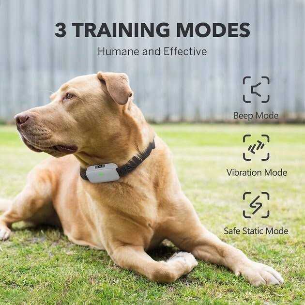 Dog Training System X7662