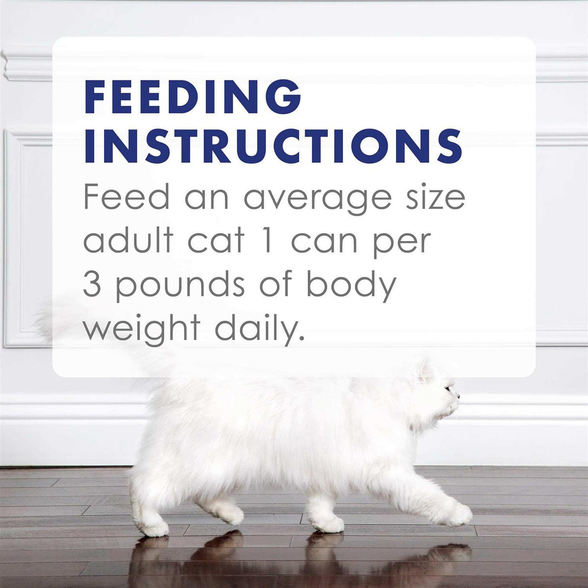Wet Cat Food O2354