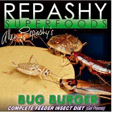 Isopod Diet H26882
